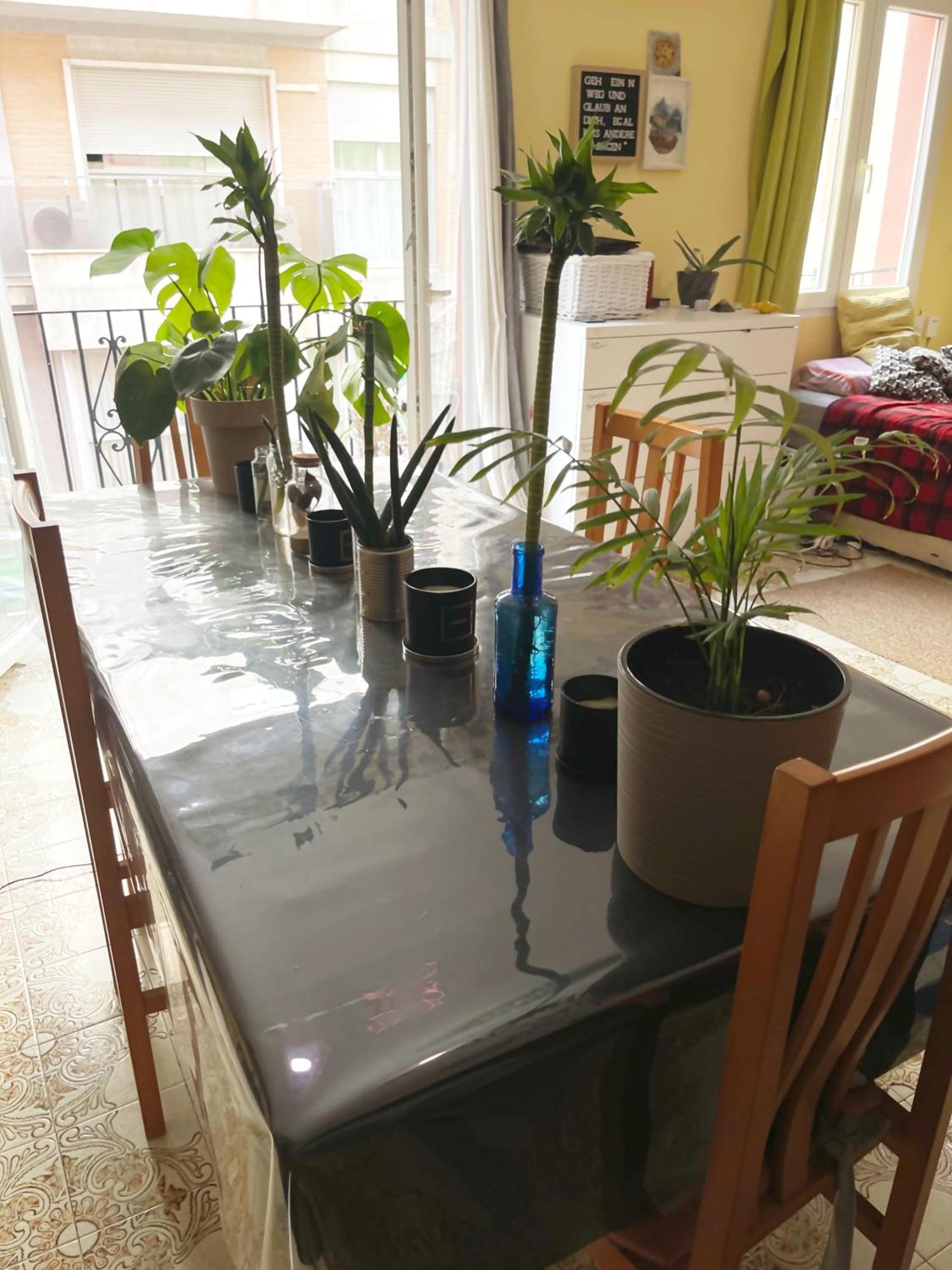 Accommodatie bij particulieren Gemuetliches 